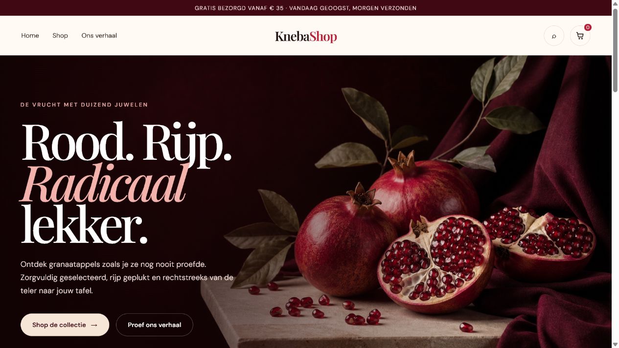 Homepage van de Kneba Shop demo